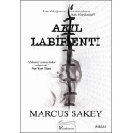 AKIL LABİRENTİ