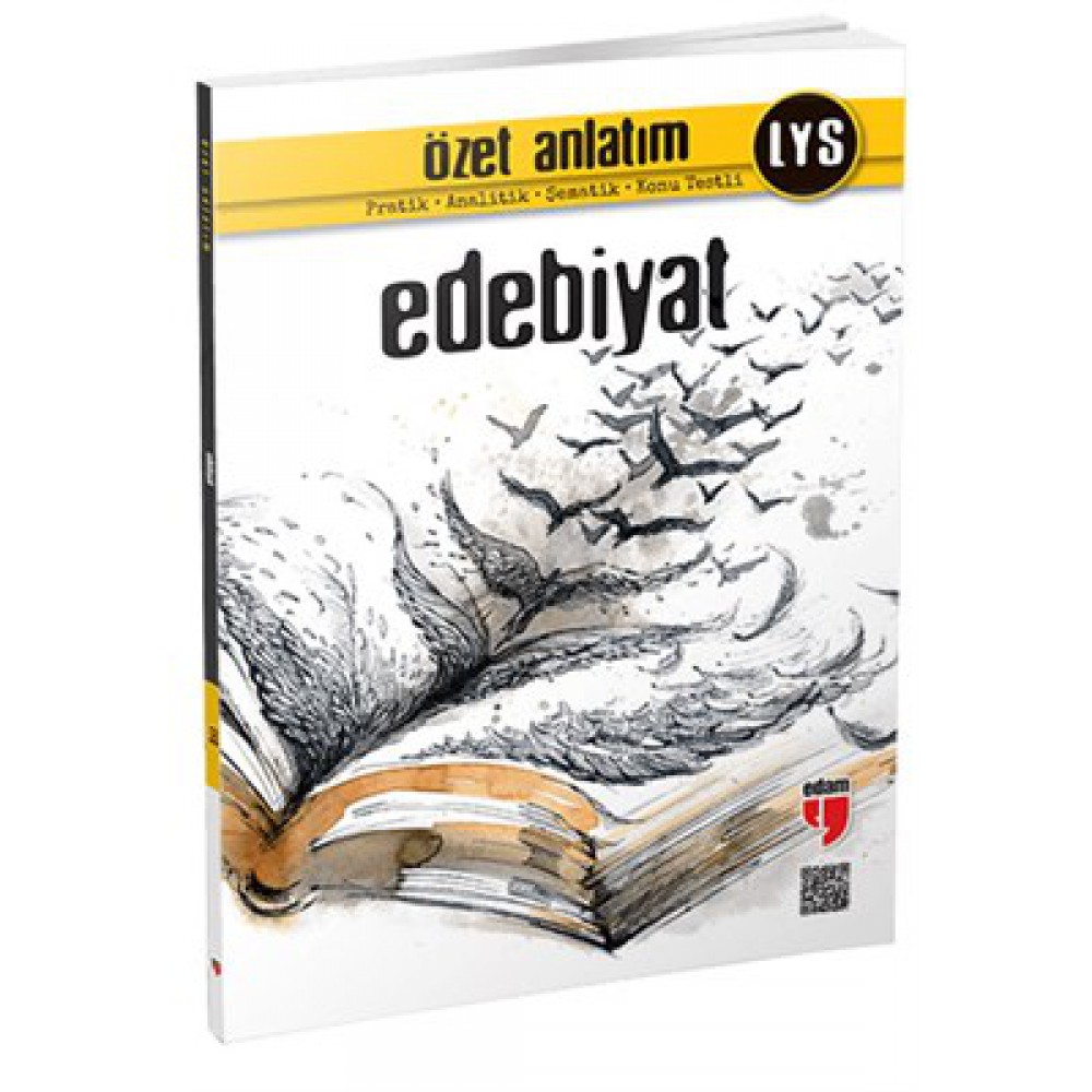 ÖZET LYS EDEBİYAT ÖZET ANLATIM