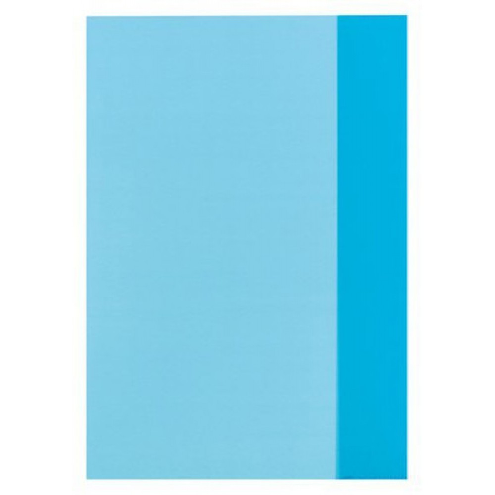 HERLITZ A4 DEFTER KABI TRANPARAN MAVİ