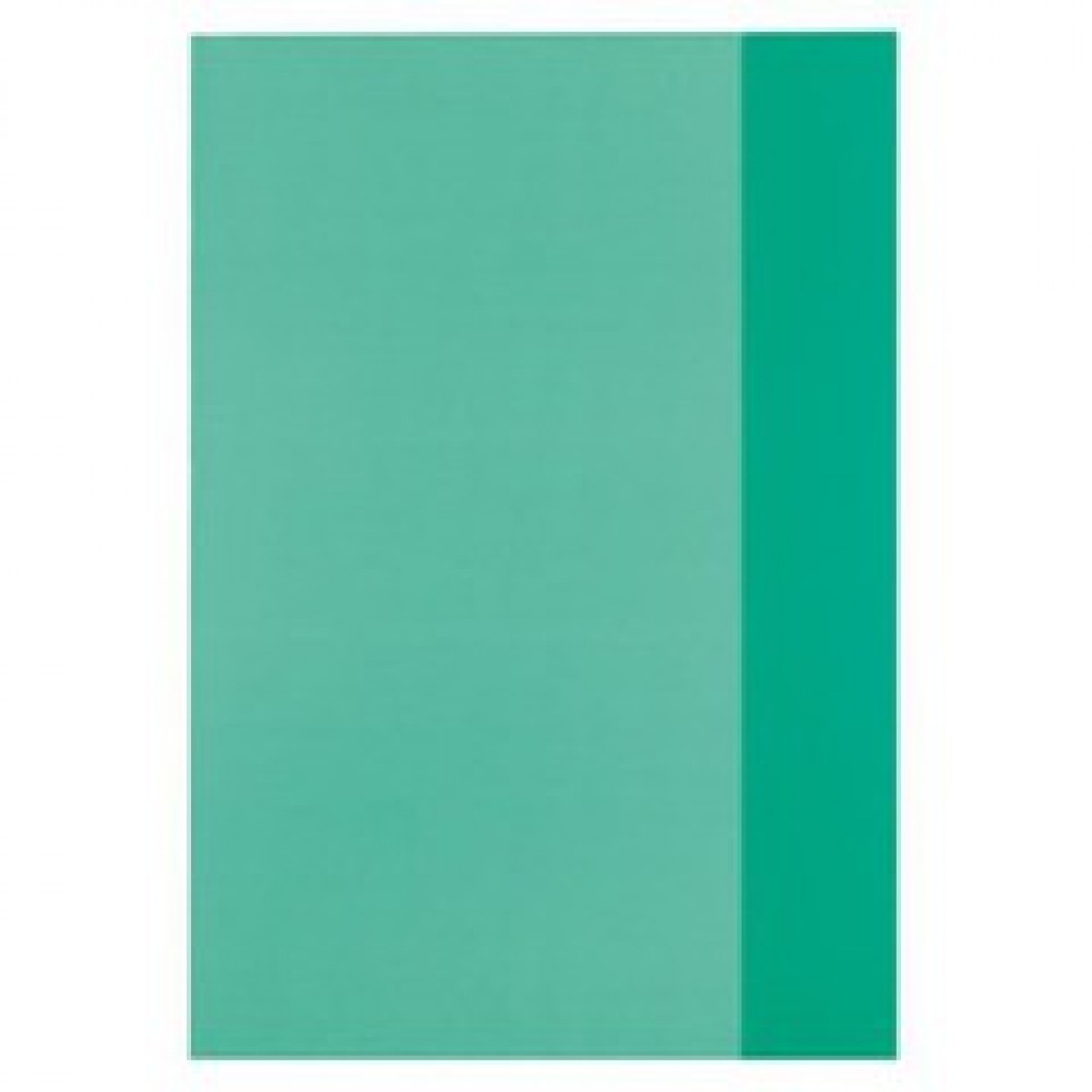 HERLITZ A4 DEFTER KABI TRANPARAN YEŞİL