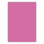 BP CİLT KAPAĞI A4 OPAK PEMBE BP688-22