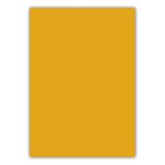 BP CİLT KAPAĞI A4 OPAK TURUNCU BP688-45