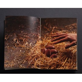 HAYVAN ÇİFTLİĞİ (KUTULU ÖZEL BASKI)