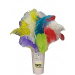 TAROS VİNTAGE LABEL KUŞ TÜYÜ 25CM TÜKENMEZ KALEM