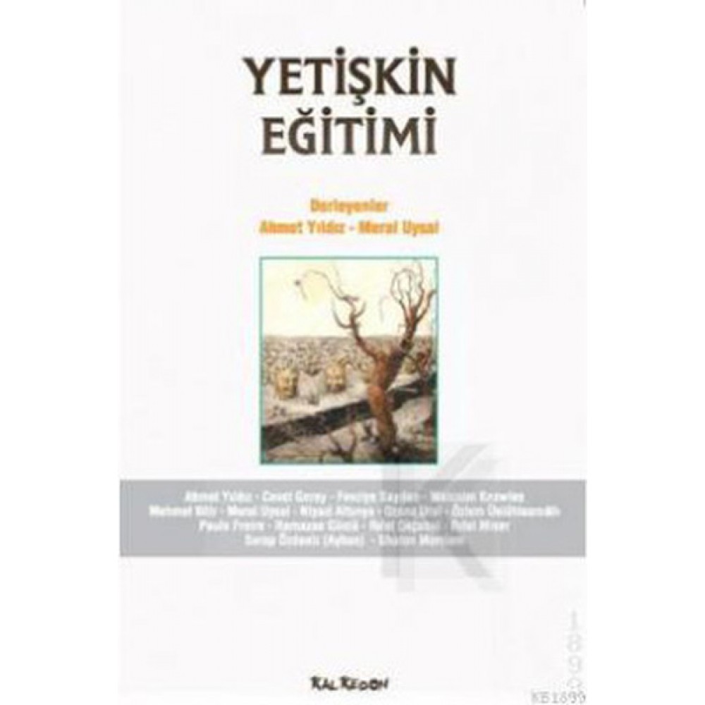 YETİŞKİN EĞİTİMİ