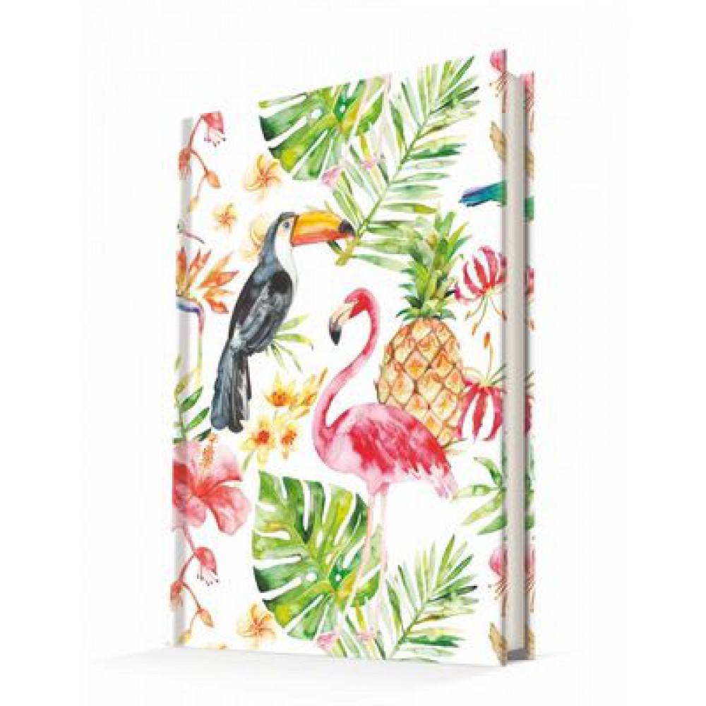 DEFFTER PARADISE / FLAMINGO TUCAN