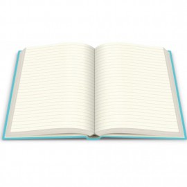 DEFFTER TOPŞİK / HER AKLINA GELENİ YAZMA