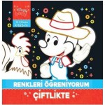 DISNEY BABY İLK BOYAMA KİTABIM RENKLERİ