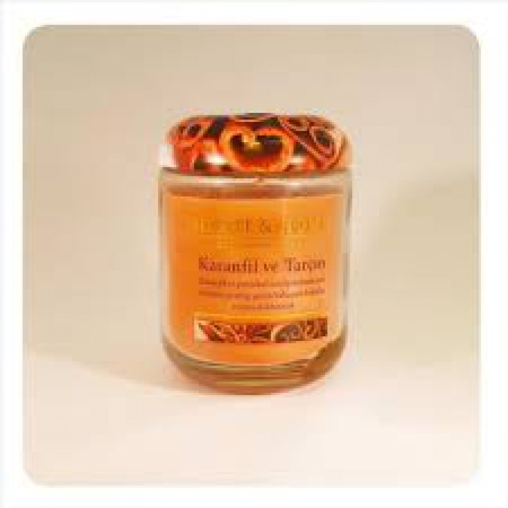 TONGUÇ FUNDAMENTALS BİYOLOJİ SORU BANKASI