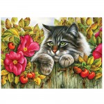 KS PUZZLE ROSE HEDGE1000 PARÇA 20504