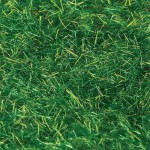 Eshel Maket Açık Yeşil Toz Çim--20 Gr--20 Gr