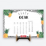 LE COLOR PINEAPPLE MASA TAKVİMİ