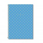 LE COLOR SERT KAPAK SPİRALLİ SHINE DÜZ 17*24 MAVİ 200 SYF 0758