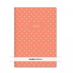 LE COLOR SHINE MERCAN 15*21 2020 HAFTALIK AJANDA