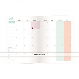 LE COLOR SHINE MERCAN 15*21 2020 HAFTALIK AJANDA