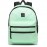 VANS SCHOOLIN IT BACKPACK/GREEN ASH VN0A46ZP4SG1-OS