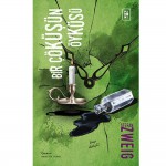 BİR ÇÖKÜŞÜN ÖYKÜSÜ- STEFAN ZWEIG