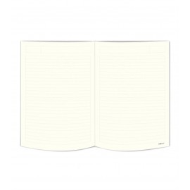 LE COLOR SERT KAPAK LASTİKLİ ÇİZGİLİ 80gr 17*24 REPLAY