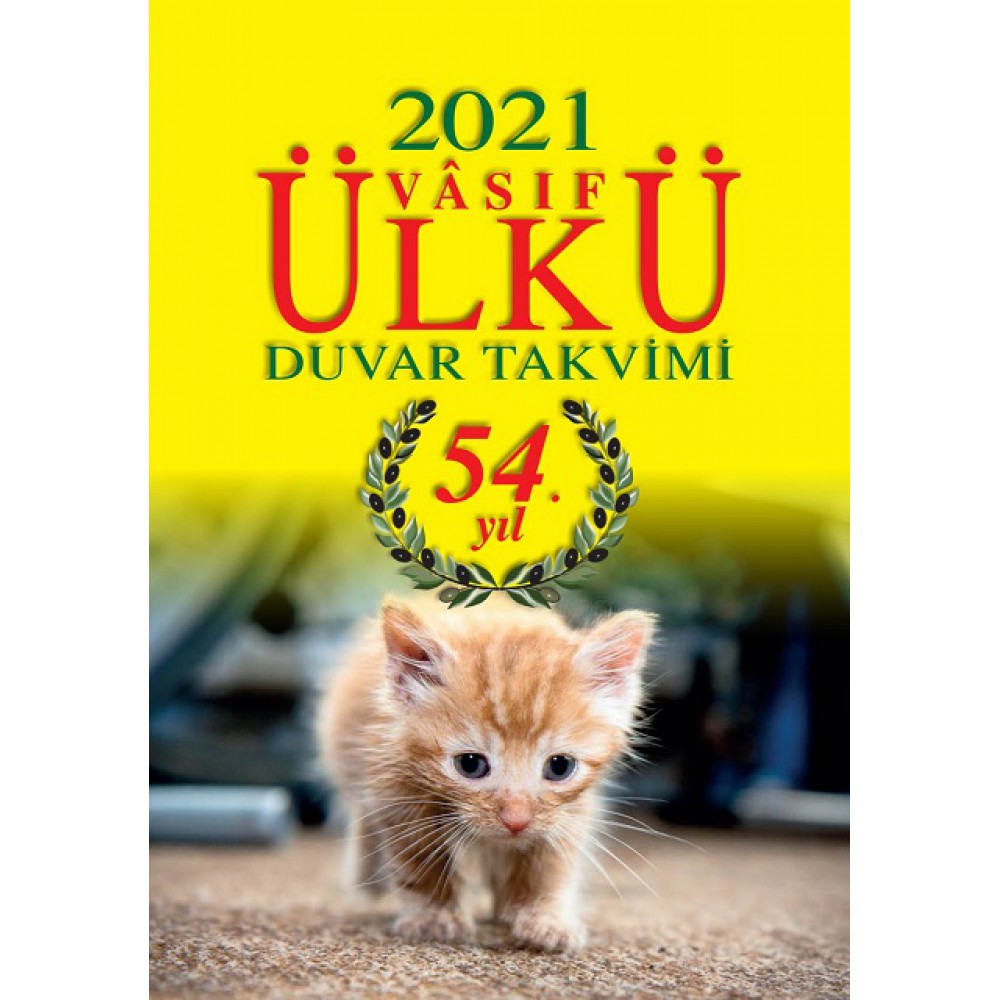 ÜLKÜ DUVAR TAKVİMİ 2021 + KARTONU