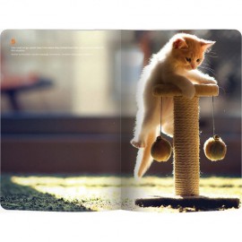 LE COLOR CAT LOVER ESNEK KAPAK DEFTER 13*21 192 syf