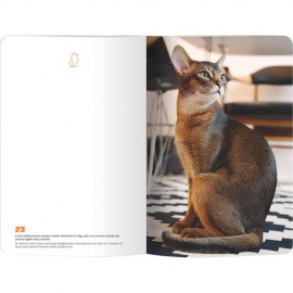 LE COLOR CAT LOVER ESNEK KAPAK DEFTER 13*21 192 syf