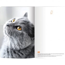 LE COLOR CAT LOVER ESNEK KAPAK DEFTER 13*21 192 syf
