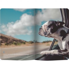 LE COLOR DOG LOVER ESNEK KAPAK DEFTER 13*21 192 syf