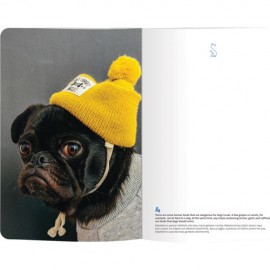 LE COLOR DOG LOVER ESNEK KAPAK DEFTER 13*21 192 syf