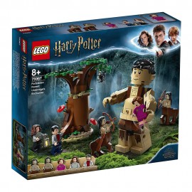 LEGO HERRY POTTER YASAK ORMAN 253pcs 75967