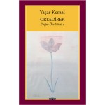 ORTADİREK/DAĞIN ÖTE YÜZÜ-1