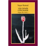 DAĞIN ÖTE YÜZÜ-2 (YER DEMİR GÖK BAKIR)
