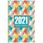 HALK NEŞE DÜNYASI 2021 AKADEMİK 13,5*21 AJANDA 