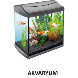 LEARNED GAMES - FLIP THE FUN 7-99 YAŞ VE ÜZERİ