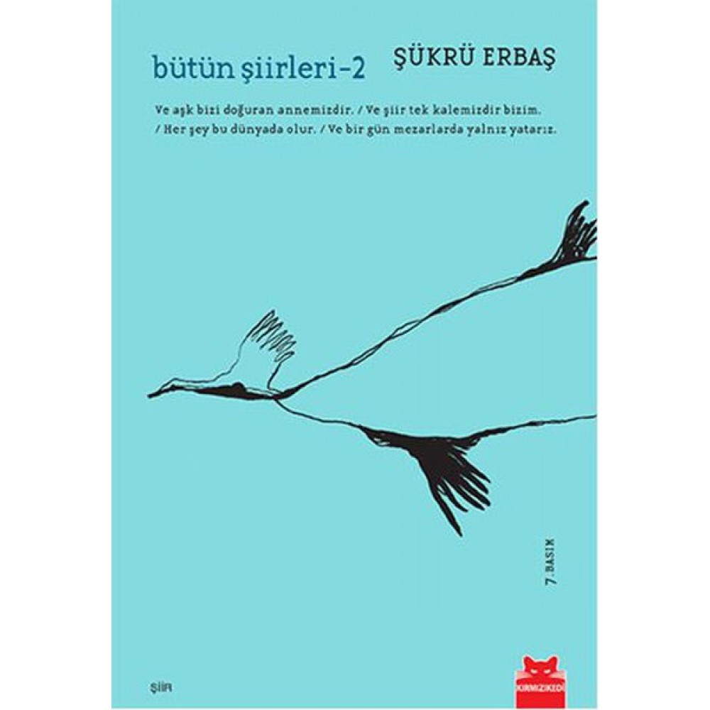 BÜTÜN ŞİİRLER 2