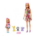 MATTEL BARBIE VE CHELSEA DOĞUM GÜNÜ OYUN SETİ GTM82