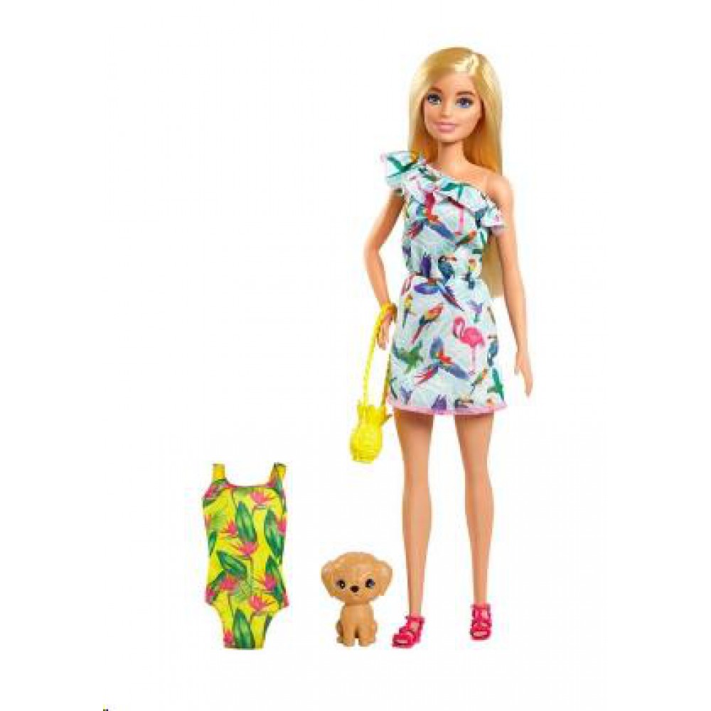 Barbie Ve Chelsea Kayıp Doğum Günü Bebek Ve Aksesuarlar Grt86-GRT87