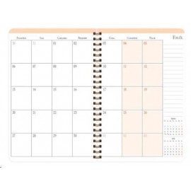 KESKİN 17*24 SPİRALLİ AKADEMİK AJANDA-CACTUS 2021/2022