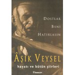 DOSTLAR BENİ HATIRLASIN AŞIK VEYSEL