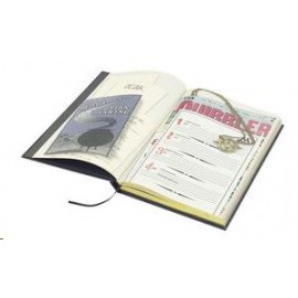 Mabbels Harry Potter Haftalık Planlayıcı Ajanda Ravenclaw