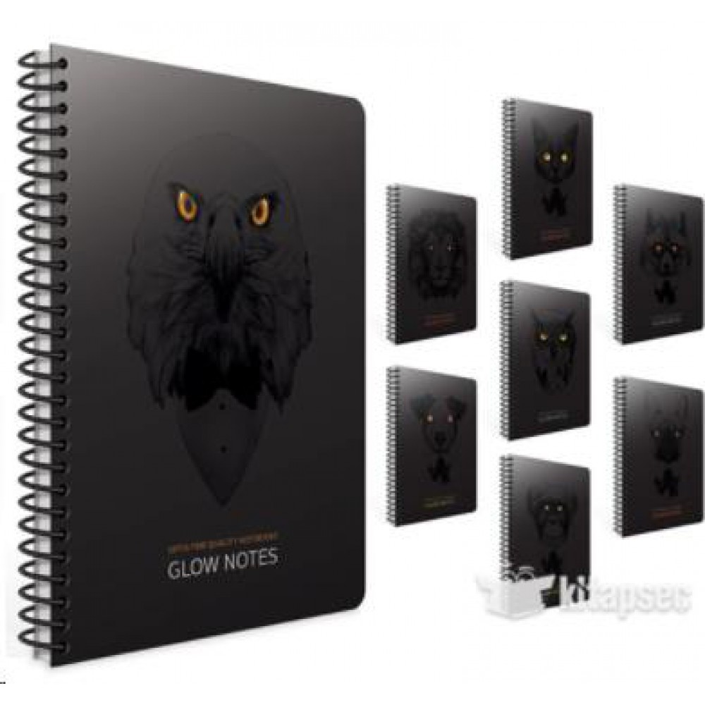 GIPTA GLOW NOTES SP.KARTON KPK.DEFTER 17*24 80YP KARELİ