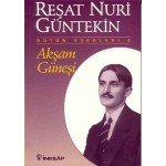 AKŞAM GÜNEŞİ R.N. GÜNTEKİN
