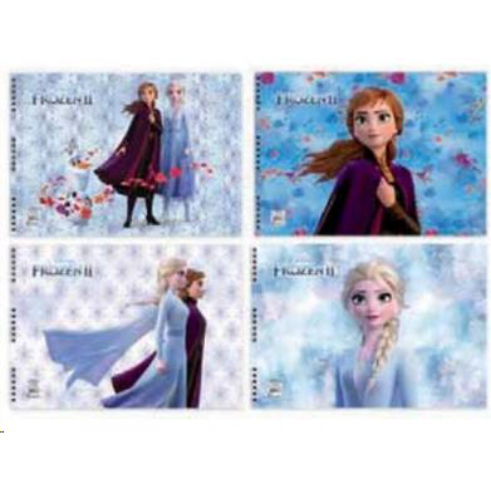 KESKİN RESİM DEFTERİ 25*35 15YP FROZEN II