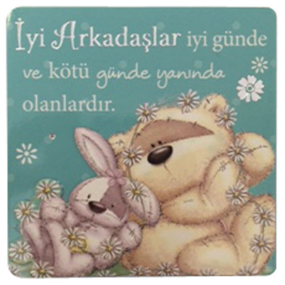 FİZZY MOON AHŞAP MAGNET İYİ ARKADAŞ