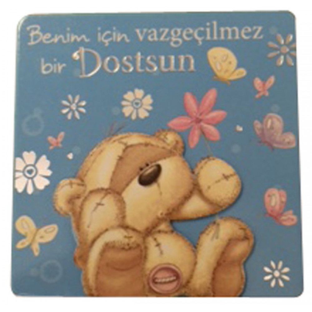 FİZZY MOON AHŞAP MAGNET DOSTSUN