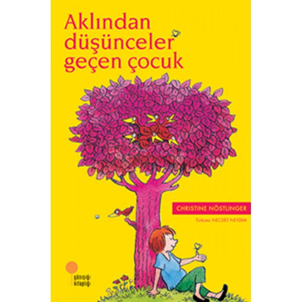 AKLINDAN DÜŞÜNCELER GEÇEN ÇOCUK - CHRISTINE NÖSTLI