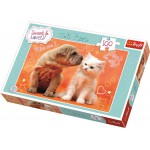 TREFL 100 HUGS AND KISSES 16264