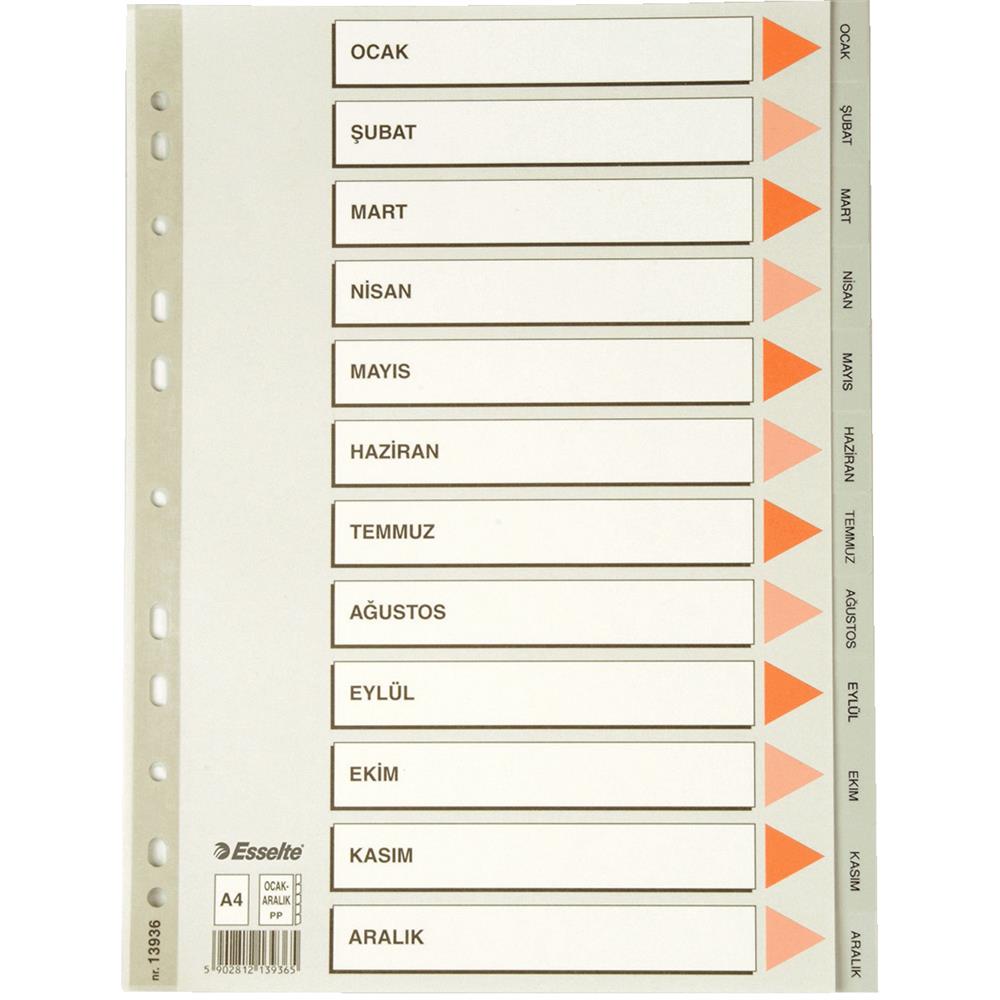 ESSELTE SEPARATÖR A4 AYLAR SLT-13936