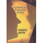 AYNASINI ARAYAN ADAM