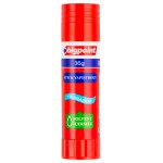 BİGPOİNT STICK YAPIŞTIRICI 36 GR