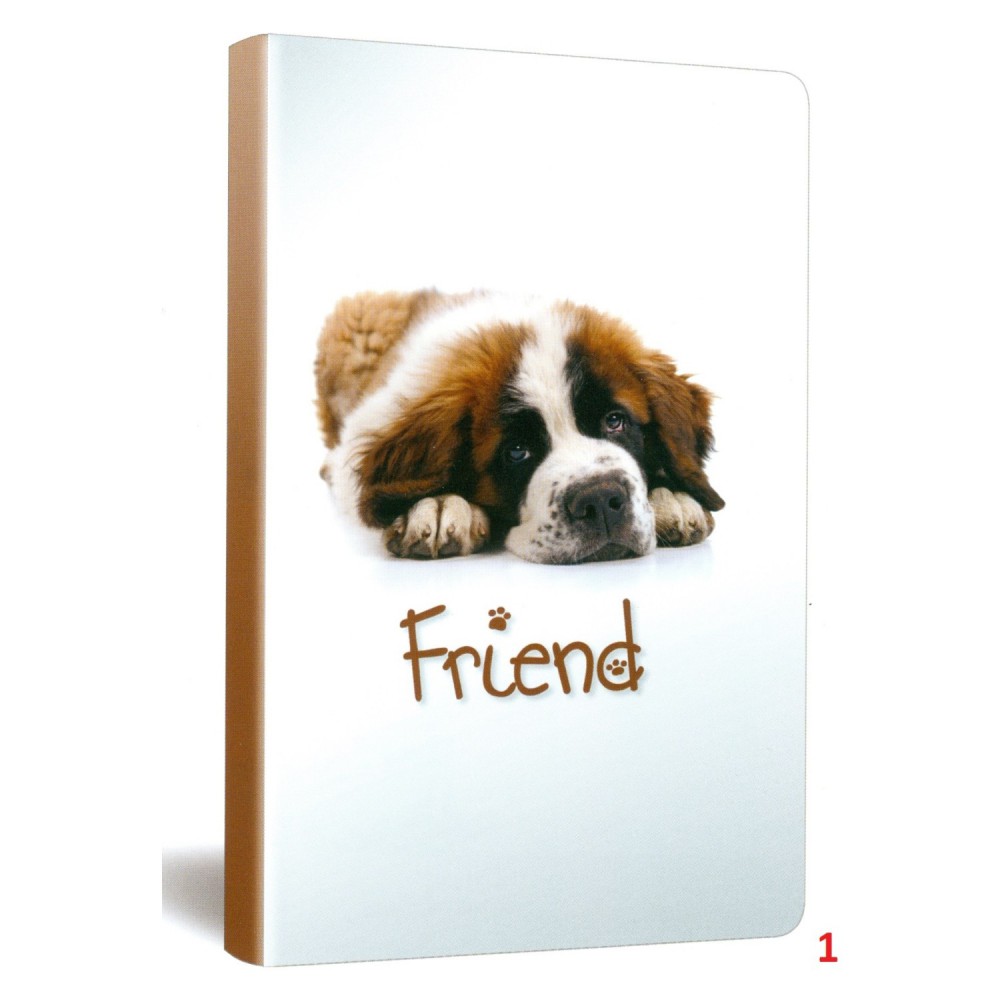 PAPER CUTE SRT KPK DEFTER 13*21 96YP ÇİZGİLİ